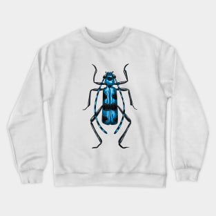 Rosalia Alpina beetle Crewneck Sweatshirt